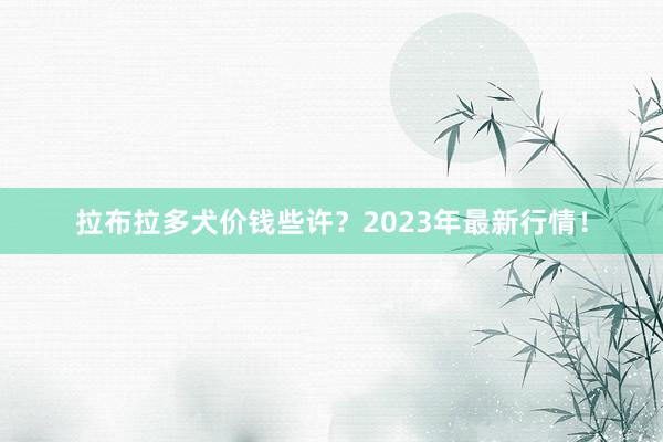 拉布拉多犬价钱些许?2023年最新行情!